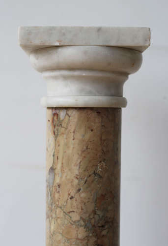 Pair of 19th Century Columns