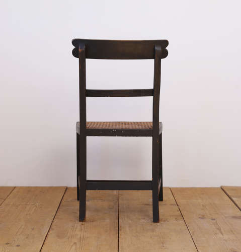 Pair of 19th Century Side Chairs